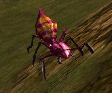 Scythe Beetle