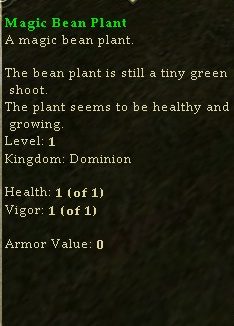 Magicbeanplant1.jpg