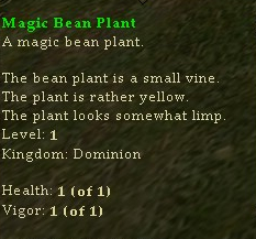 Magicbeanplant2.jpg