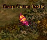 Sharp Cutter Beetle