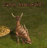 Sandy Armoredillo