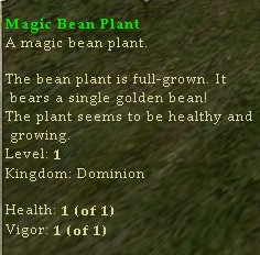 Magicbeanplant3.jpg