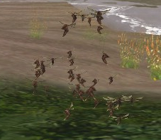 Sentientswarm.jpg