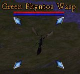 Green Phyntos Wasp