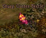 Sharp Cutter Beetle