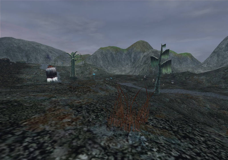 File:Lostwish.jpg