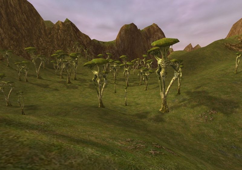 File:Prospermarshes.jpg