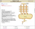 Thumbnail for version as of 12:06, 13 May 2013