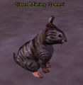 Thumbnail for version as of 11:13, 5 April 2013